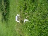 image of grave number 623941